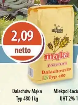 DUO-TES Dalachów Mąka Typ 480 oferta
