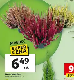 Auchan Wrzos premium oferta