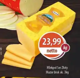 DUO-TES Mlekpol Ser Złoty Mazur blok oferta