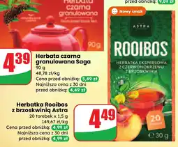 Dino Herbata Rooibos z brzoskwinią Astra oferta