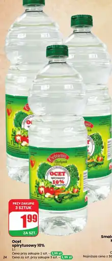 Dino Ocet spirytusowy 10% Białystok oferta