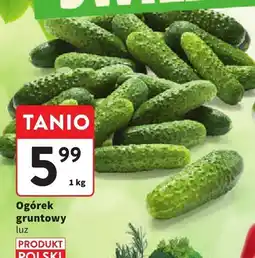 Intermarche Ogórek gruntowy PRODUKT POLSKI oferta