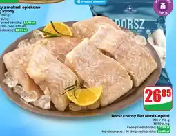 Dino Dorsz czarny filet Nord Capital oferta