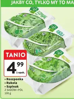 Intermarche Szpinak Z SADÓW I PÓL oferta