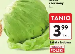 Intermarche Sałata lodowa PRODUKT POLSKI oferta