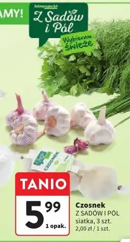 Intermarche Czosnek Z SADÓW I PÓL oferta