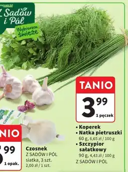 Intermarche Szczypiorek Z SADÓW I PÓL oferta