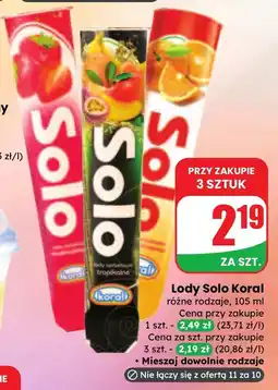 Dino Lody Solo Koral różne rodzaje oferta