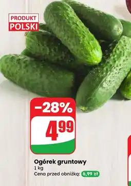 Dino Ogórek gruntowy Dino oferta