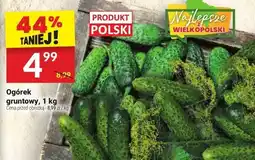 Twój Market Ogórek gruntowy Produkt Polski oferta