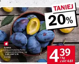 Selgros Śliwka Selgros oferta