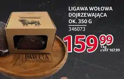 Selgros Ligawa wołowa dojrzewająca Pawęta oferta