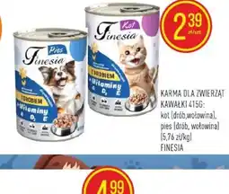 Pokusa Finesia Karma dla kota oferta