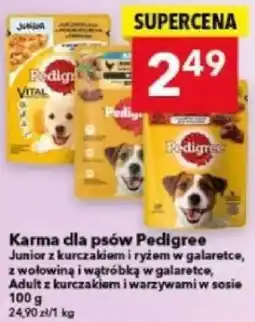 Lewiatan Karma dla psów Pedigree oferta