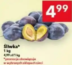 Lewiatan Śliwka oferta