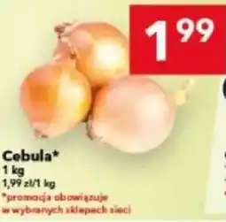 Lewiatan Cebula oferta