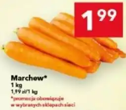 Lewiatan Marchew oferta