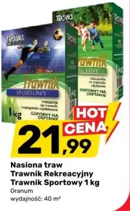 Bricomarche Nasiona traw Trawnik Rekreacyjny Trawnik Sportowy oferta