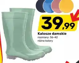 Bricomarche Kalosze damskie oferta