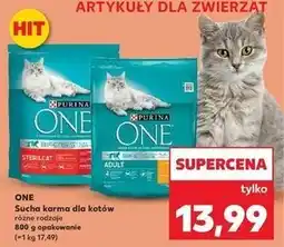 Kaufland Karma dla kota adult kurczak i pełne ziarna Purina One oferta