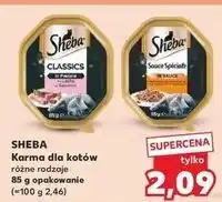 Kaufland Karma dla kota pate z wołowiną Sheba Classics oferta