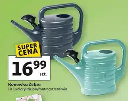 Auchan Konewka zebra 10 l oferta