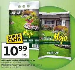 Auchan Trawa uniwersalna maja oferta