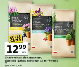 Auchan Torf kwaśny oferta