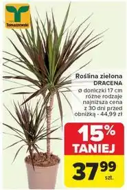 Carrefour Dracena Tomaszewski oferta