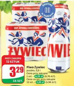 Dino Piwo Żywiec oferta