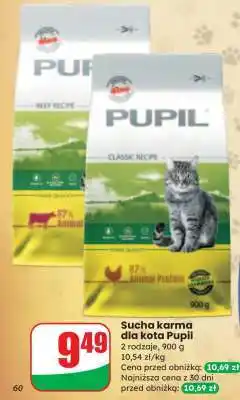 Dino Sucha karma dla kota Pupil oferta