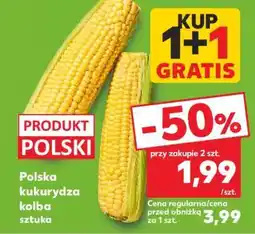 Kaufland Polska kukurydza kolba sztuka oferta