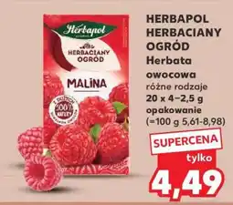 Kaufland HERBAPOL Herbaciany ogród oferta