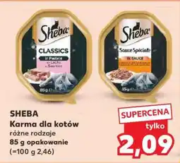 Kaufland SHEBA Karma dla kotów oferta