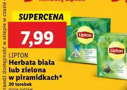 Lidl Herbata Lipton zielona w piramidkach oferta