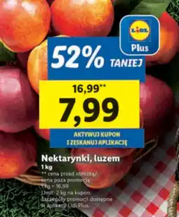 Lidl Nektarynki Ryneczek Lidla oferta