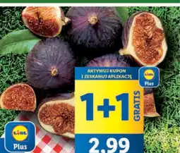 Lidl Figa świeża 1 szt. Lidl oferta