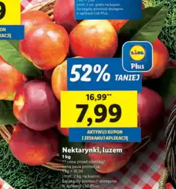 Lidl Nektarynki 1 kg Lidl oferta