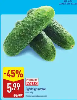 ALDI Ogórki gruntowe 1 kg Aldi oferta