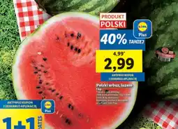 Lidl Arbuz polski 1 kg Lidl oferta