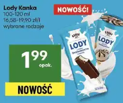 Delikatesy Centrum Lody Kanka oferta