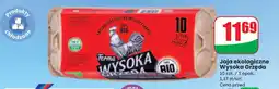 Dino Jaja ekologiczne WYSOKA GRZĘDA oferta