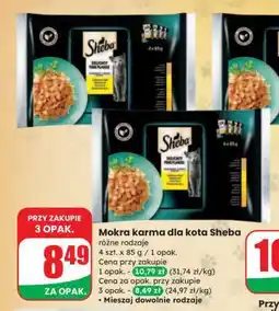 Dino Mokra karma dla kota Sheba oferta