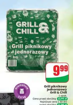 Dino Grill piknikowy jednorazowy Grill & Chill oferta