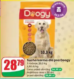 Dino Sucha karma dla psa Doogy oferta