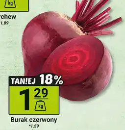 Hitpol Burak czerwony Hitpol oferta
