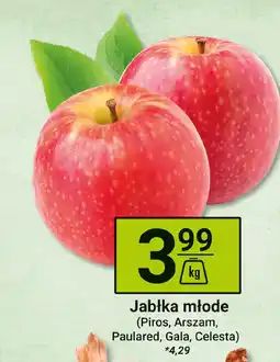 Hitpol Jabłka młode (Piros, Arszam, Paulared, Gala, Celesta) Hitpol oferta