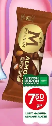 Żabka Lody Magnum Almond rożek oferta