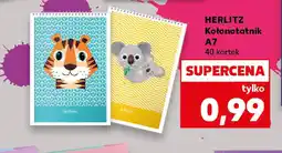 Kaufland Kolonotatnik Herlitz oferta