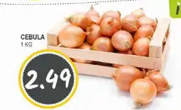 Słoneczko Cebula oferta